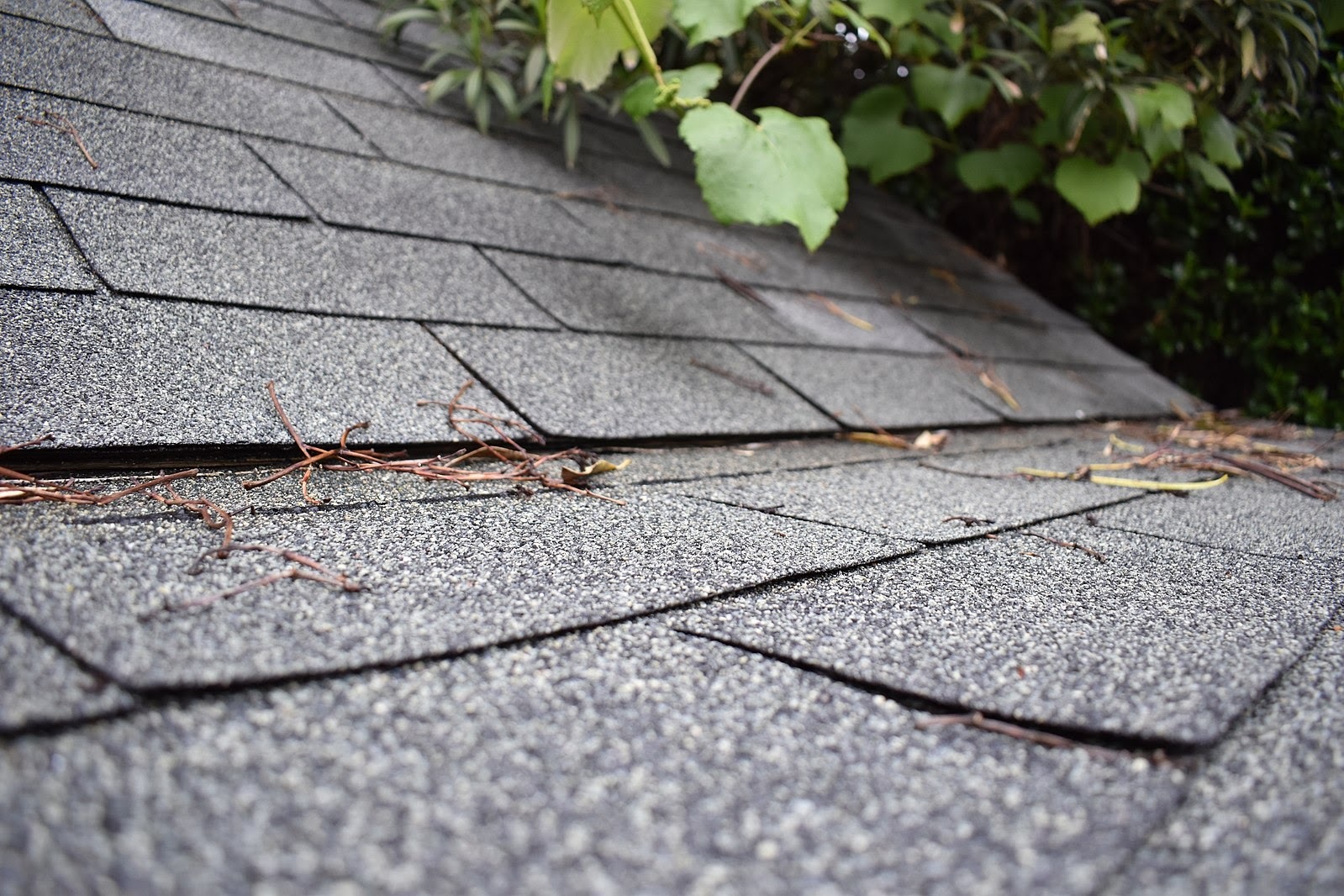 roof shingles installation