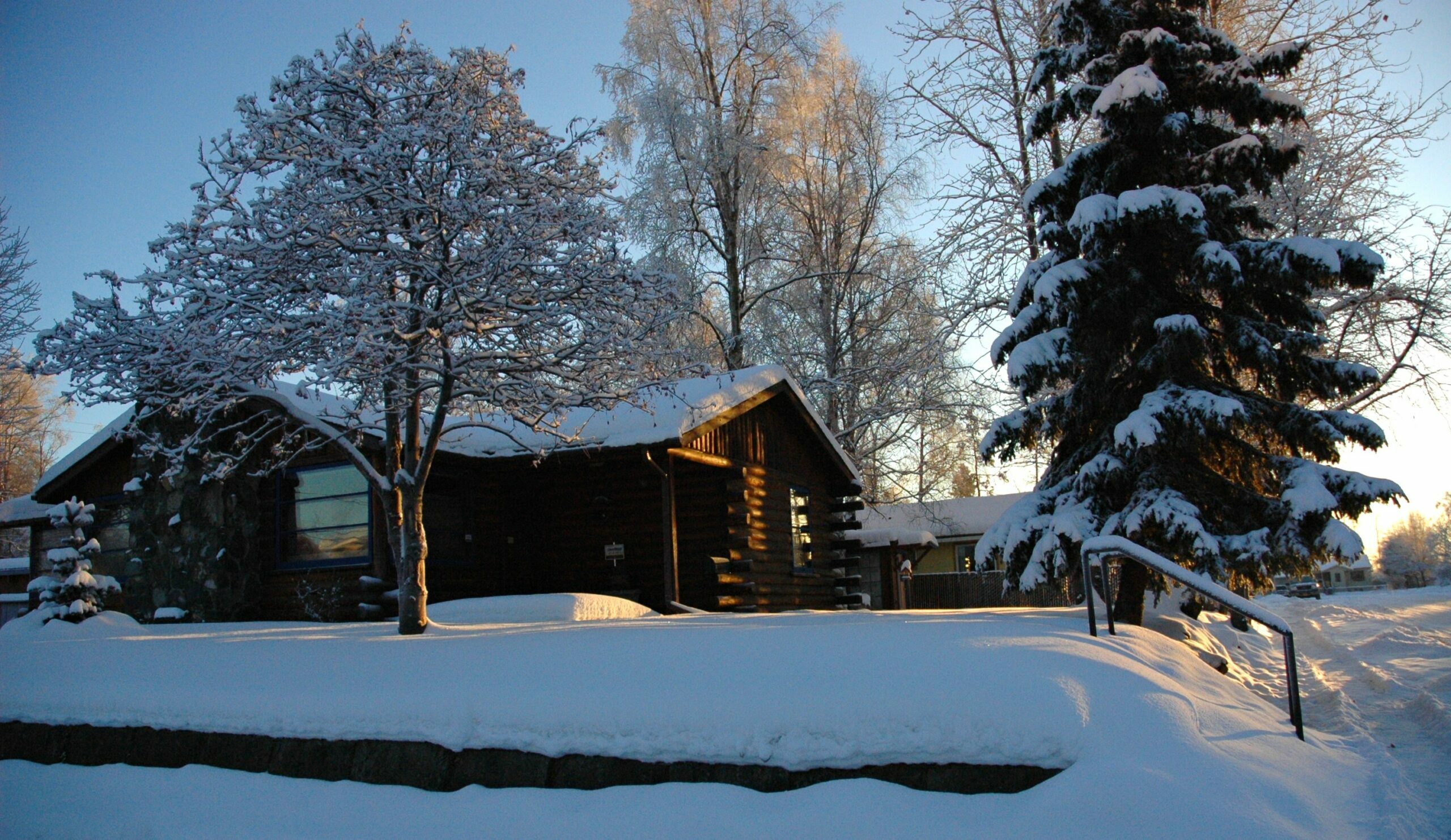 The Threats of Snow Damage