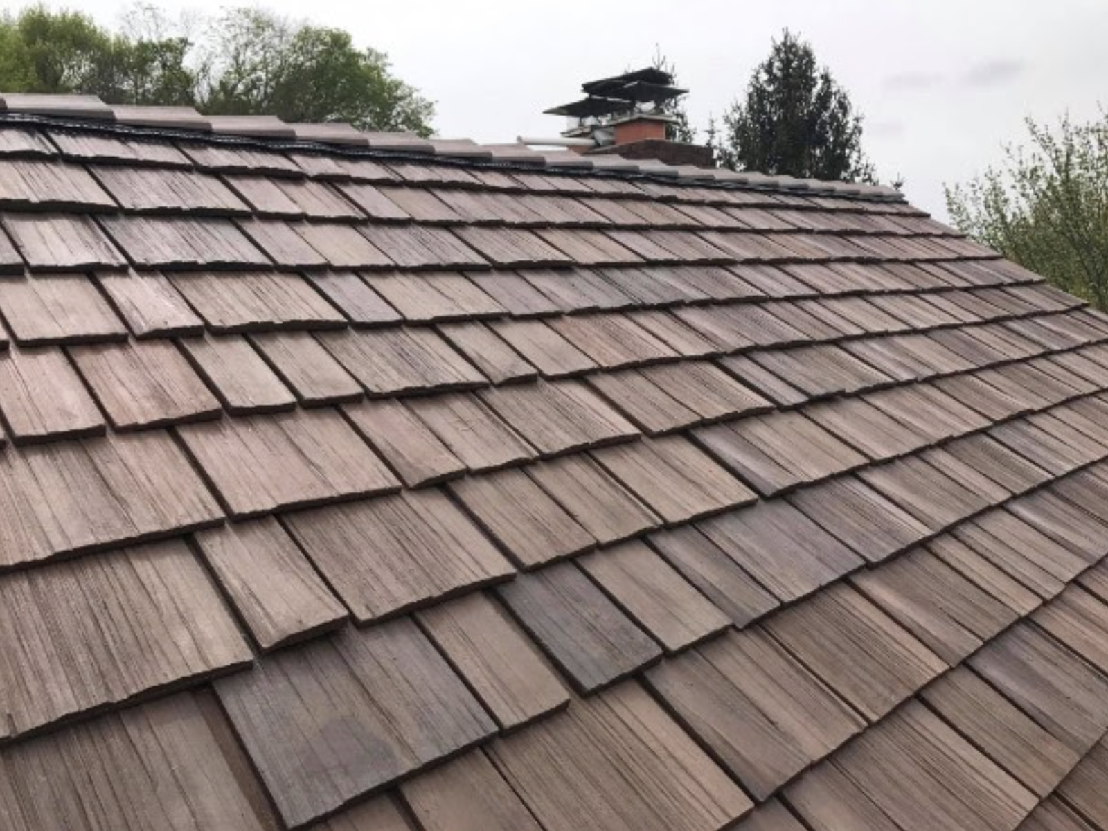 wood shingle roof