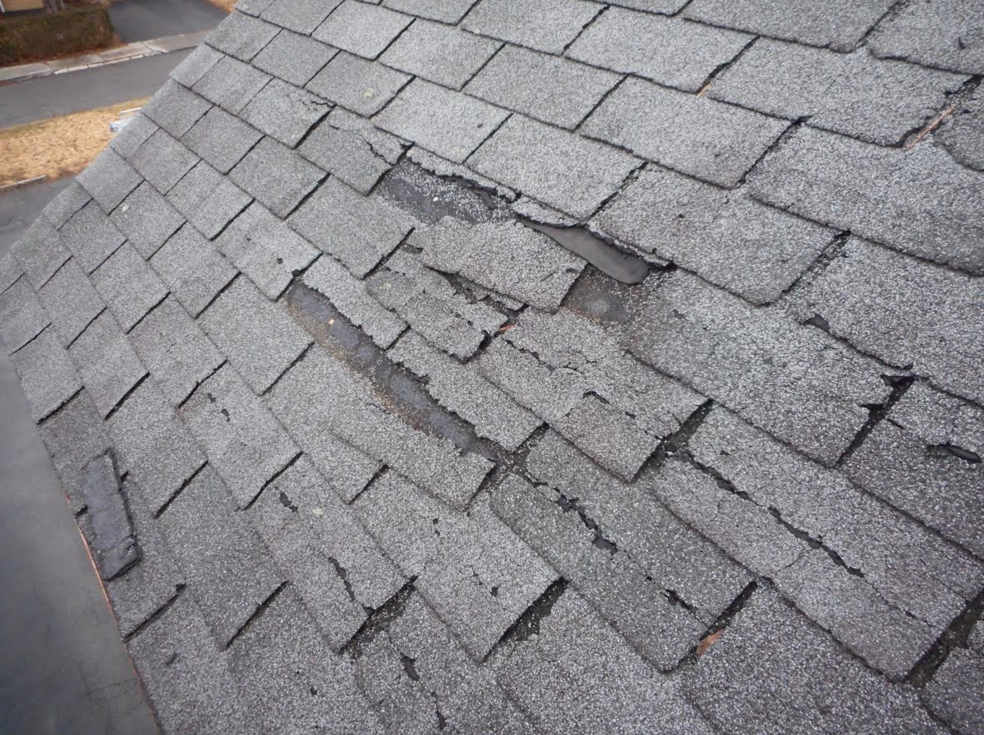 asphalt shingles vs cedar shake roof