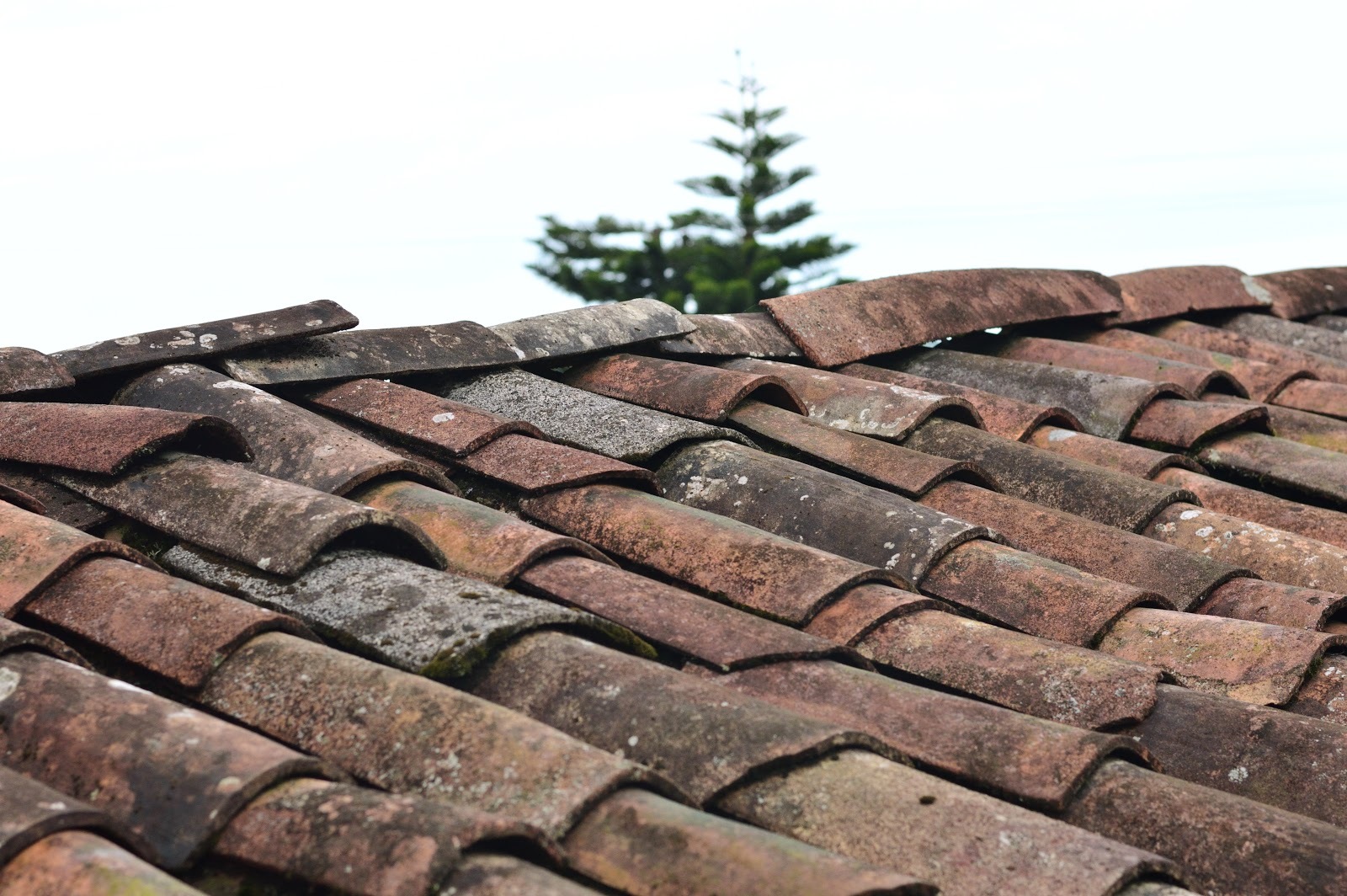 Clay Vs. Concrete Roof Tiles: Know The Differences And Make The Best Choice  | Brava Roof Tile