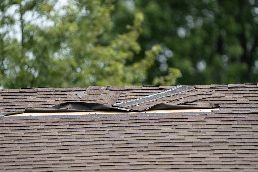 common roof problems